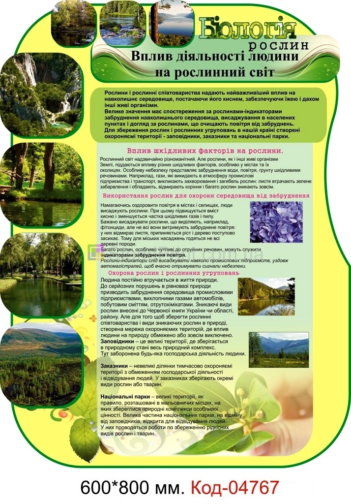 Плакат по биологии